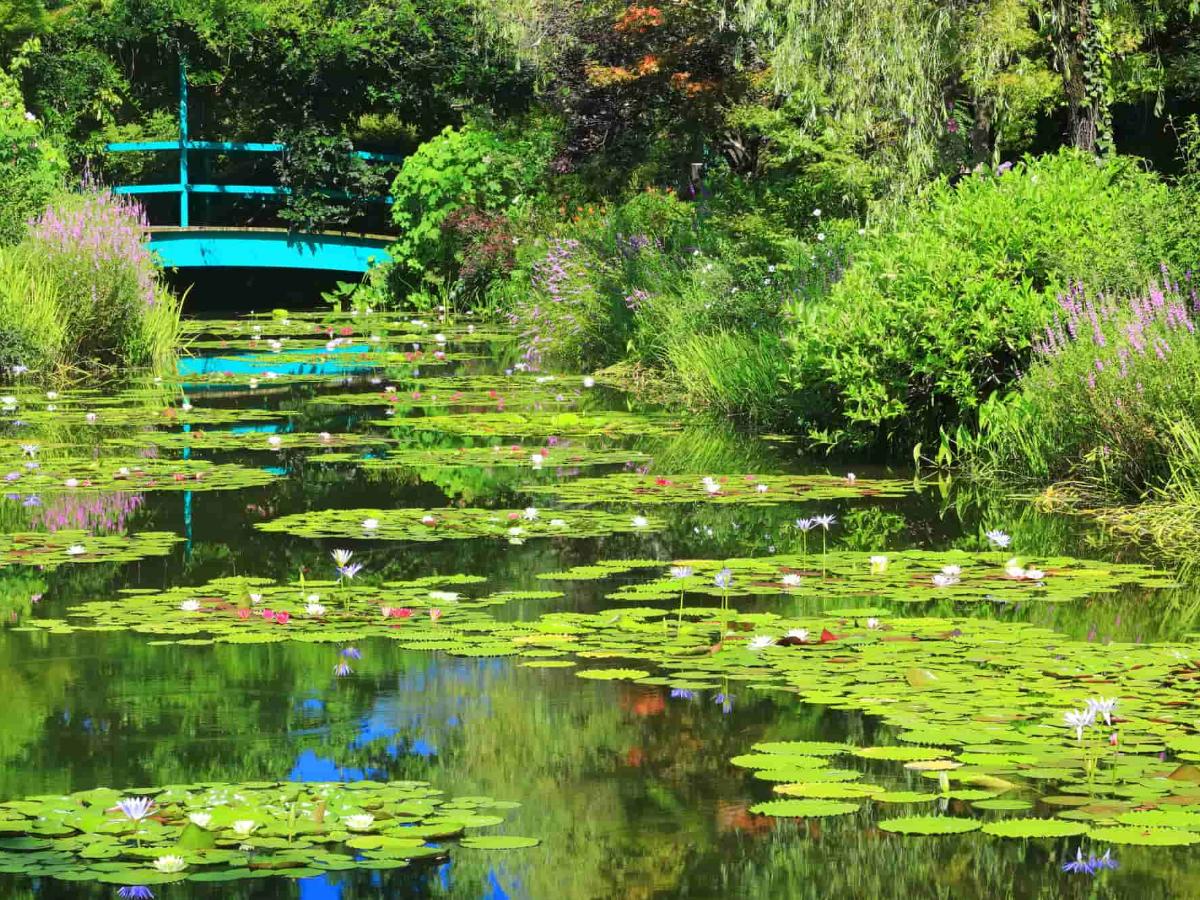 北川村「モネの庭」マルモッタン】で絵画の世界へ！青い睡蓮の見頃は